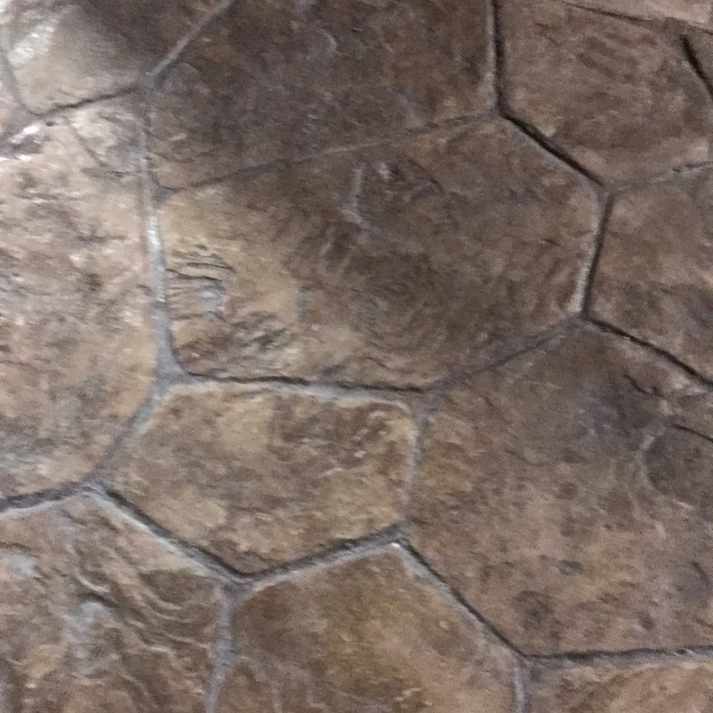 Meet your Posher, Gracie